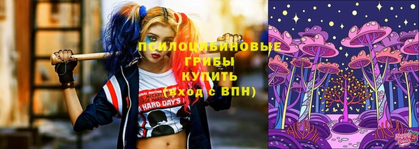 мяу мяу мука Армянск