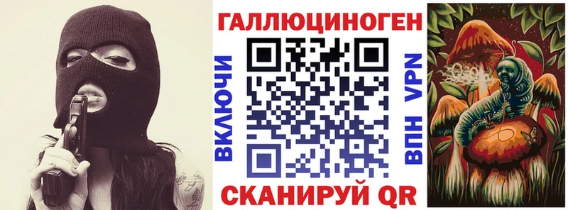 Купить где  Елабуга  Галлюциногенные грибы Cubensis 